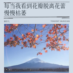 每当我（风中的花瓣随风飘落）
