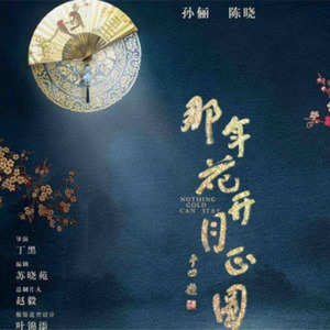 忘不掉-《那年花开月正圆》片头曲