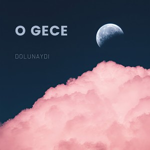 Seni ne kadar sevdim