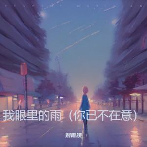 刘雨凌 - 我眼里的雨