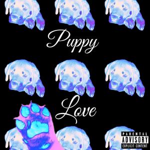 LOST IN LOVE (Explicit)