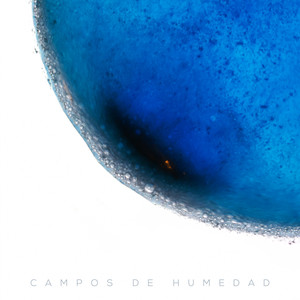 Campos de Humedad