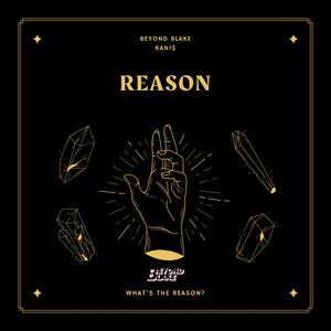 Reason (feat. Kani$) [Explicit]