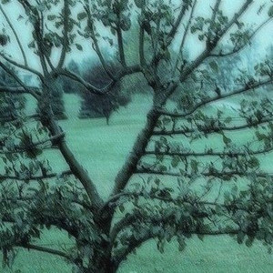 GAROTA PATÉTICA (Explicit)