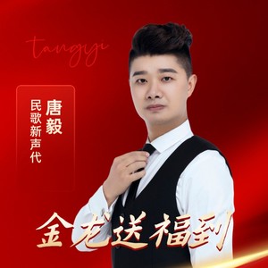 唐毅 - 龍年大吉