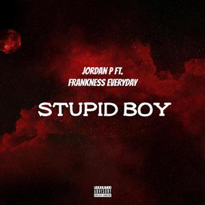 STUPID BOY (feat. Frankness Everyday) (Explicit)