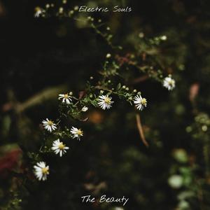 The Beauty (feat. Buster Sebb)