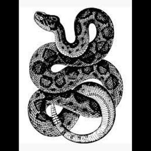 dont trust (Explicit)