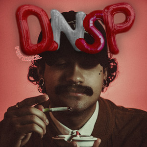 QNSP