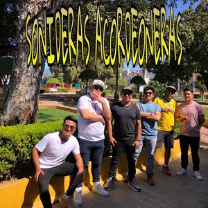 Sonideras Acordeoneras: Cumbia Cienaguera/ Cañita de Azúcar/ La Cumbia Buena