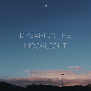 Dream in the Moonlight – Musical Regeneration During Sleep, Night Sounds, Relax Time, Stop Snoring, Stress Free, Bedtime, Evening Routine, Close Your Eyes