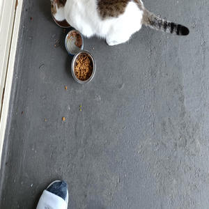 Farm to Table (Explicit)