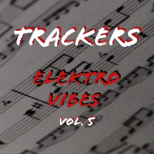 Elektro Vibes, Vol. 5