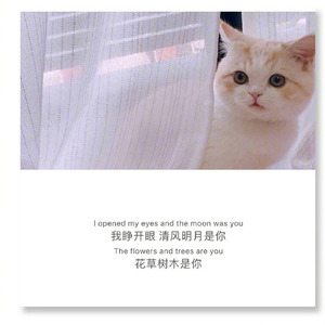 还不是因为你长的不好看