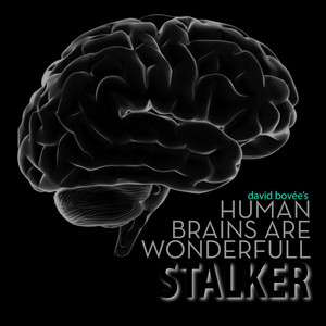 Human Brains Are Wonderfull (Stalker Remix)