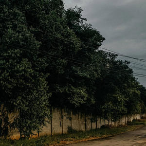 I Won't Take My Eyes