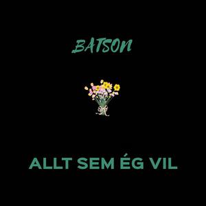 Allt Sem Ég Vil (Explicit)