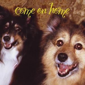 Come On Home (feat. LuAnn Olson)