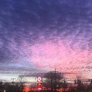 Coconut Mall (Explicit)