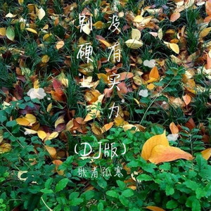 没有实力别硬上 (DJ版)