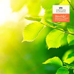 Massenet: Meditation