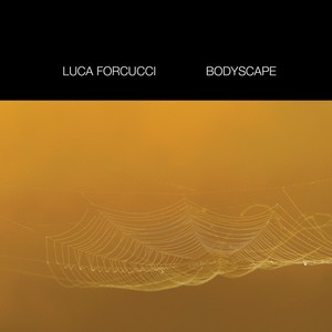 Bodyscape