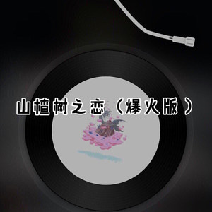 山楂树の恋 (爆火版)