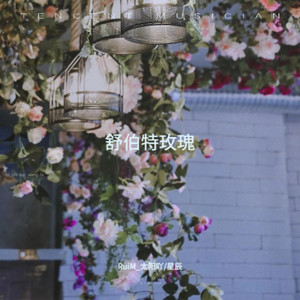 舒伯特玫瑰封面