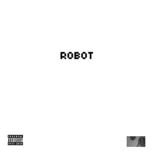 Robot (Explicit)