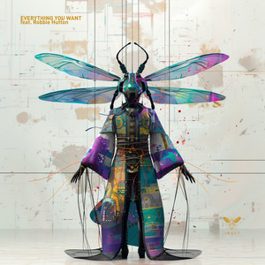 Insct - Everything You Want (Extended)