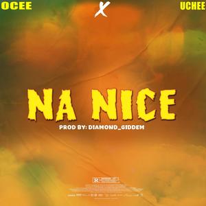Na Nice (feat. Uche)
