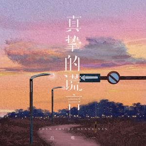 真挚的谎言封面