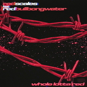 Whole Lotta Red (feat. redbullbongwater) (Explicit)