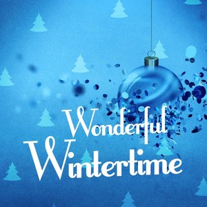 Wonderful Wintertime