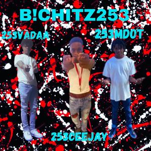 B!TCHITS253 (feat. chiraqvadaa & MDOT GBG) (Explicit)