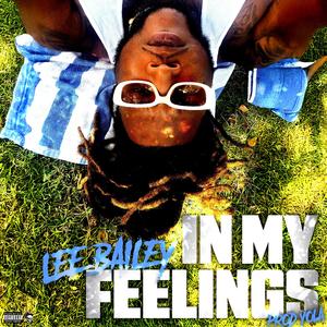 In My Feelings (Explicit)