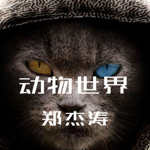 动物世界 (伴奏)