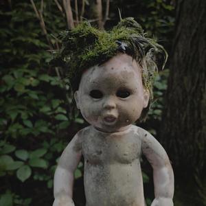 They're Coming to Take Me Away, Ha-Haaa!