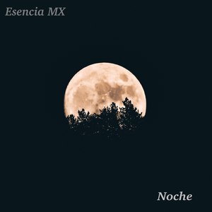 Noche