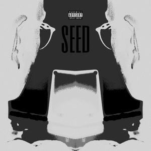 Seed (Explicit)