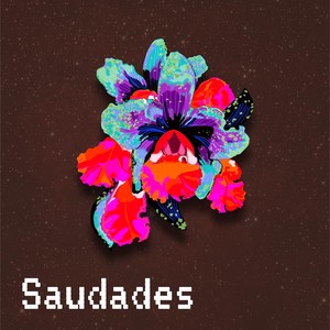 Saudades (feat. Alex Westcoat)