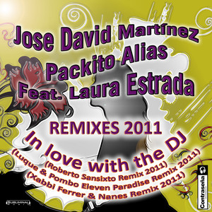 In Love With The DJ (Roberto Sansixto Remix)