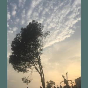 你是我六点分的想念（姜铭杨/闷猪）