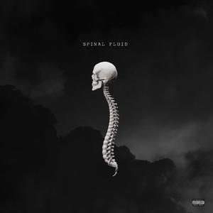 Spinal fluid (Explicit)