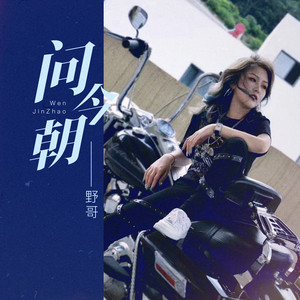 野哥 - 问今朝 (DJ劲爆版)