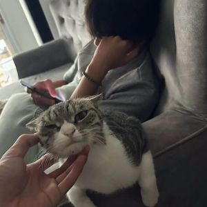 再见面会心动吗封面