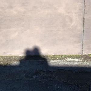 Melbourne street (Mix)