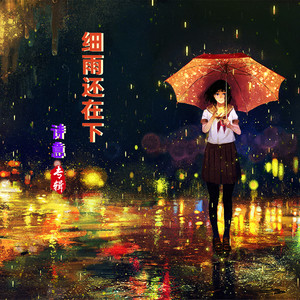 细雨还在下