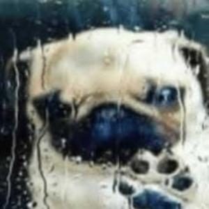 Paja Inolvidable (feat. zlidzinho)