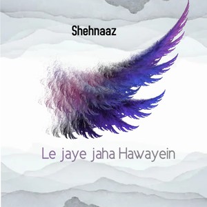 Le Jaye Jaha Hawayein